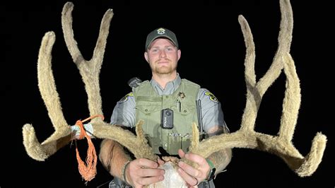 operation game|Man pleads guilty in poaching case .